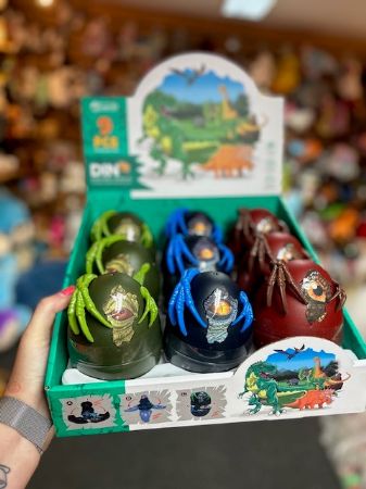Dinosaur eggs in display box