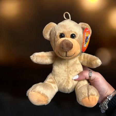 4 Colour bear 20cm/8"