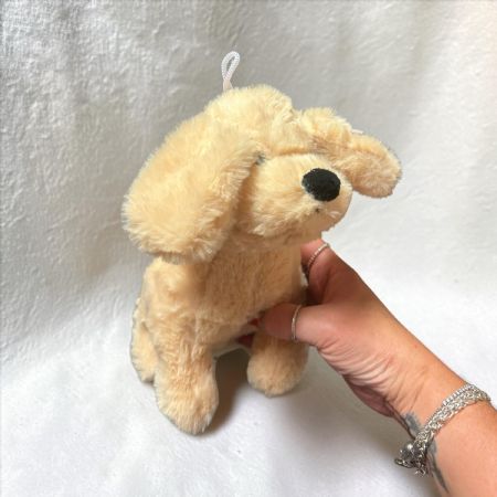 Labrador new 20cm