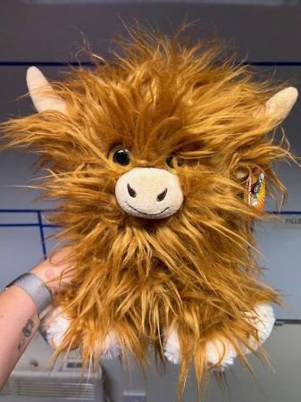 Brown Highland Cow Soft Toy 60cm