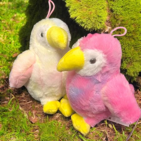 Pastel rainbow parrot 25cm/10"