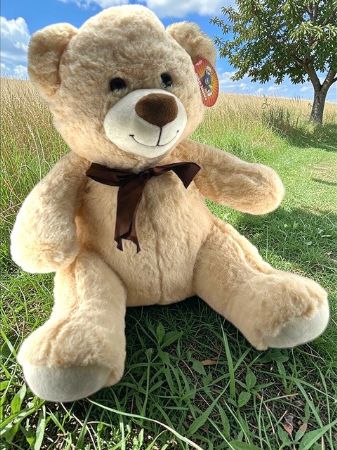 Cream bear with brown scarf