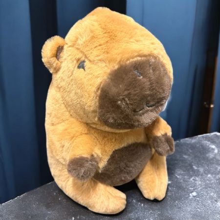 Case Capybara 20cm/8"