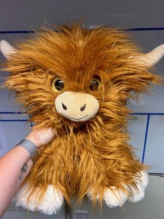 Highland Cow 40cm/16"
