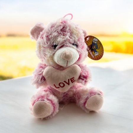 Pastel love heart bears