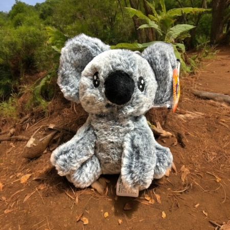 Case of Koala 18cm