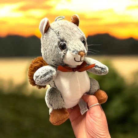 Squirrel 20cm/8"