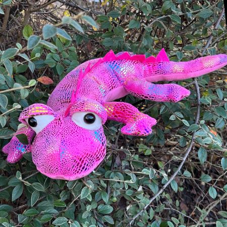 Case Lizard 30cm