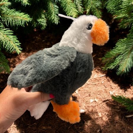 Eagle 20cm/8"