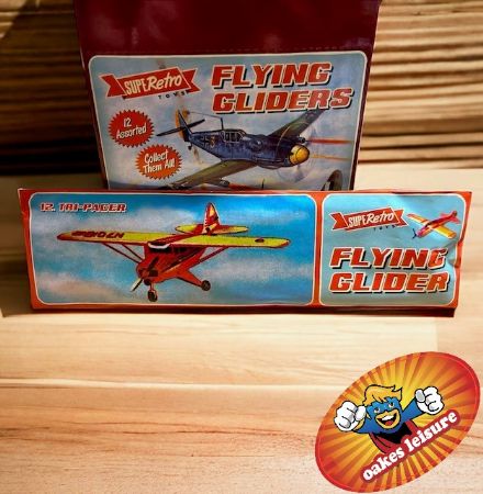 Flying Glider Plane (x48)