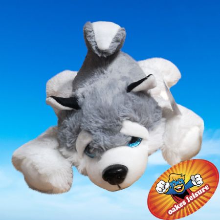 Case of Lying down Husky Dog 30cm (48 Pieces) 