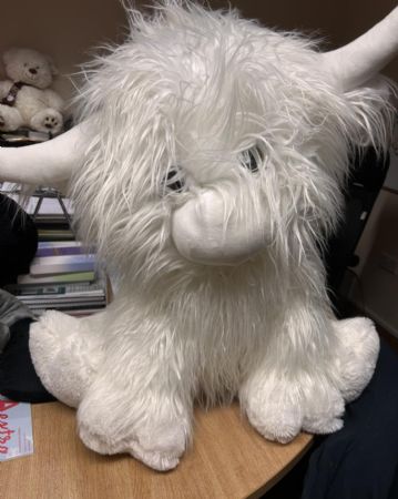 White Highland Cow Soft Toy 80cm